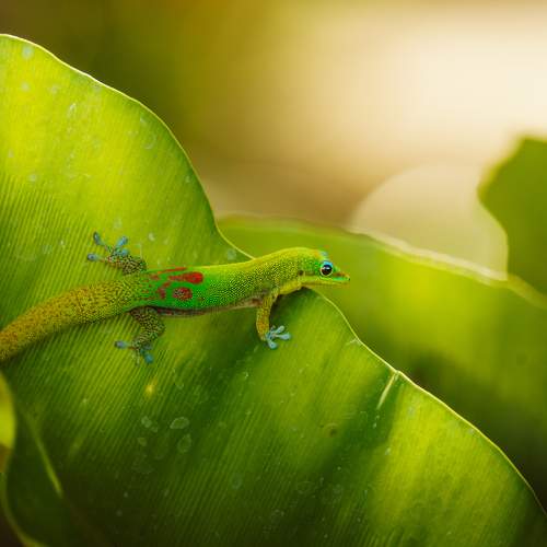 Photo #11579418