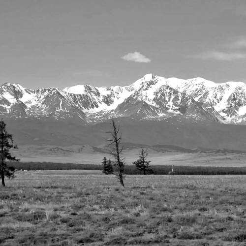 Photo #11579424