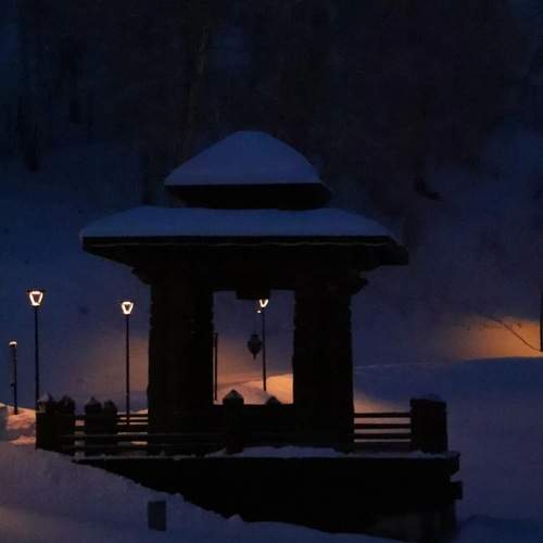 Photo #11579433