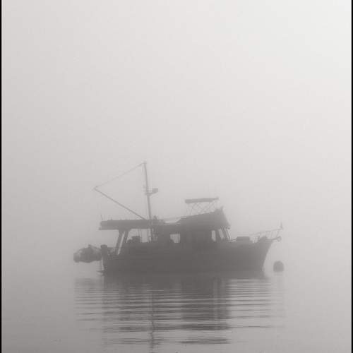 Fog