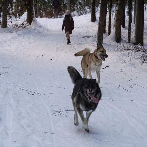 Photo #11579674