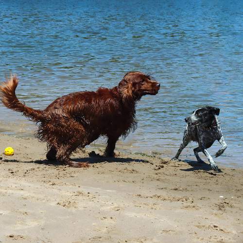 Photo #11579798