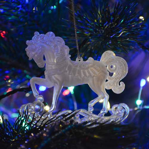 Photo #11579849