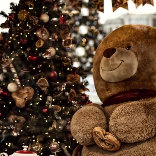 Photo #11579858