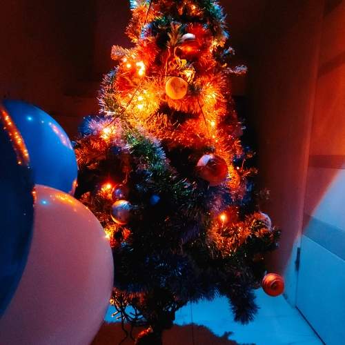 Photo #11579888