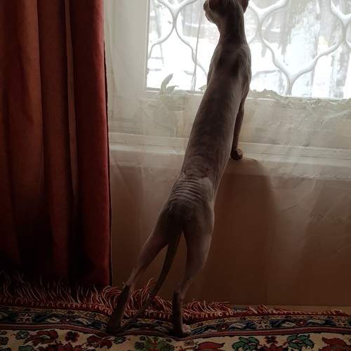 Photo #11580124