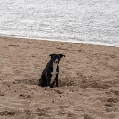 Photo #11580202