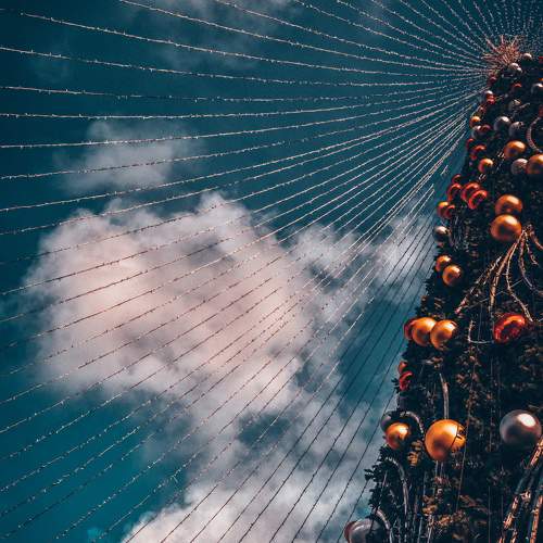 Photo #11580386