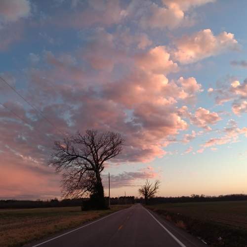 Photo #11580484