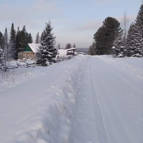 Photo #11580772