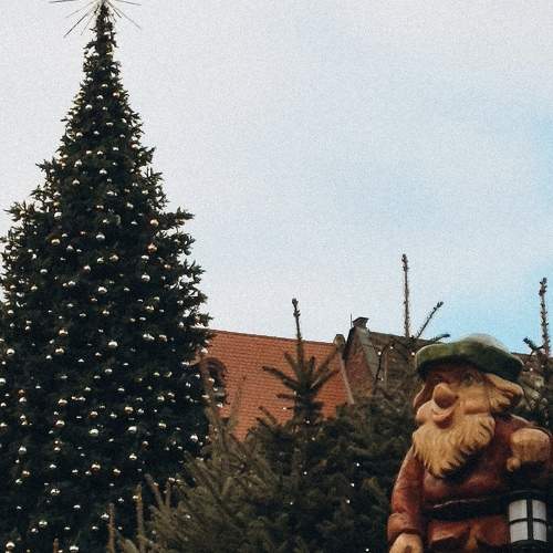 Photo #11580904