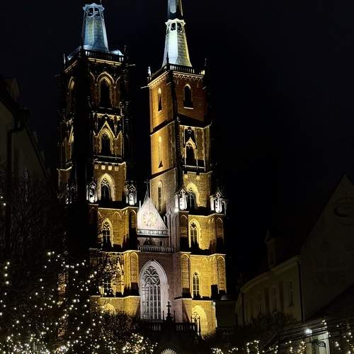 Photo #11580917