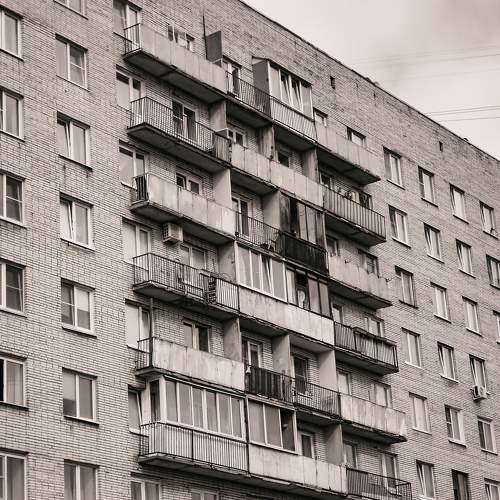 Photo #11581113
