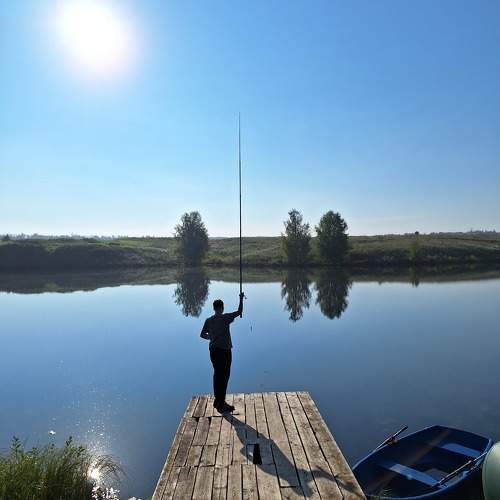 Photo #11581340