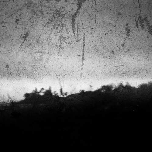 Photo #11581800