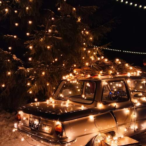 Photo #11581810