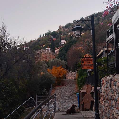 Photo #11581851