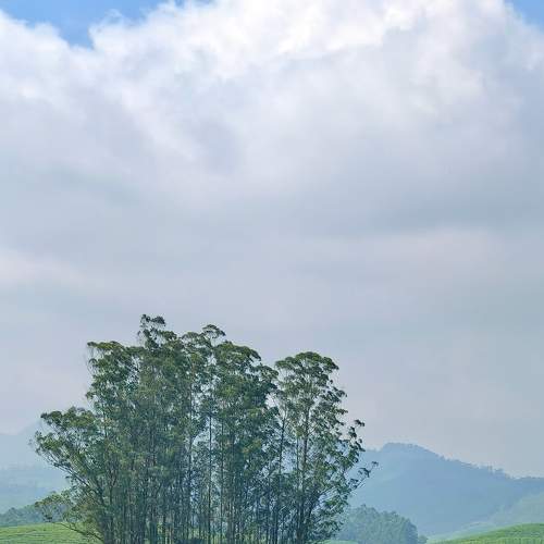 Photo #11581862