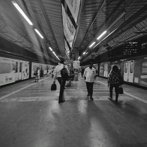 Photo #11582133