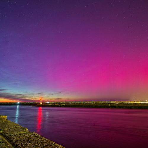 Photo #11582286