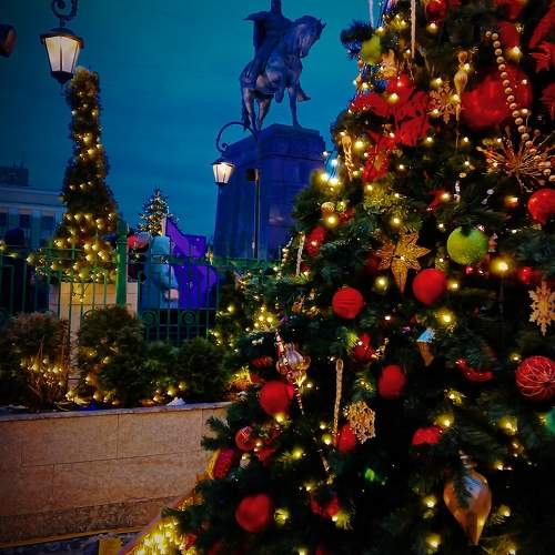 Photo #11582781