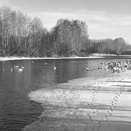 Photo #11582828