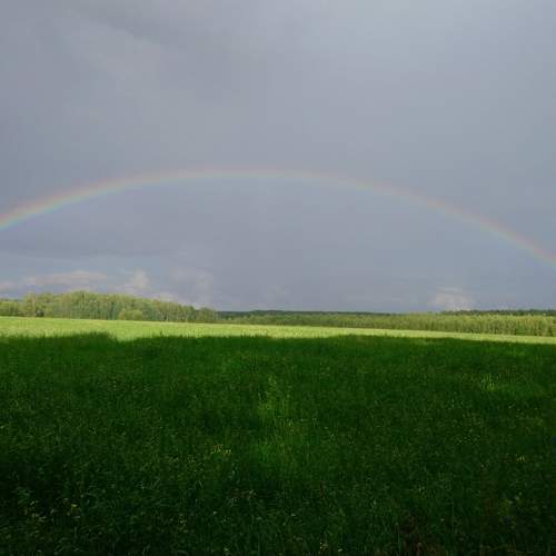 Photo #11583396