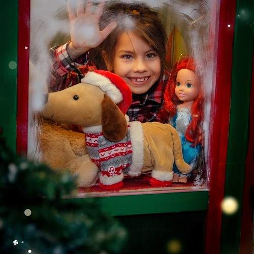 Photo #11583500