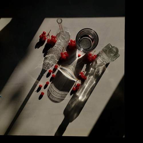 Photo #11583569