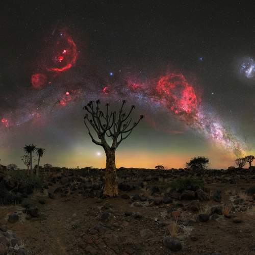 Lonely tree under the red flame of Orion, September 2023, Rooisand Desert Ranch, Namibia