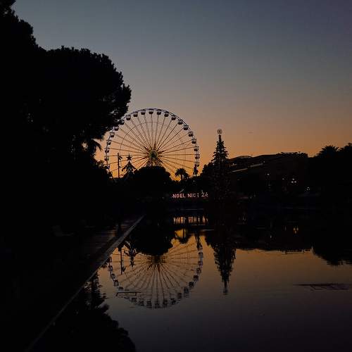 Photo #11583893