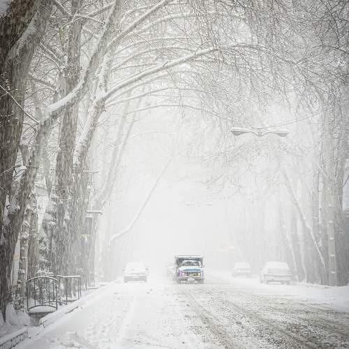 Photo #11584428