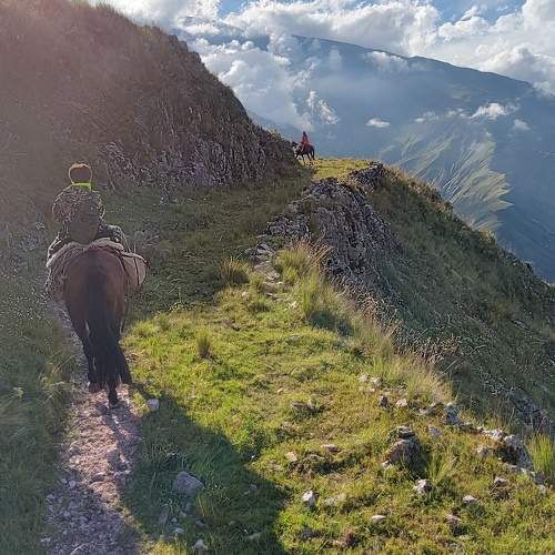 Photo #11584516