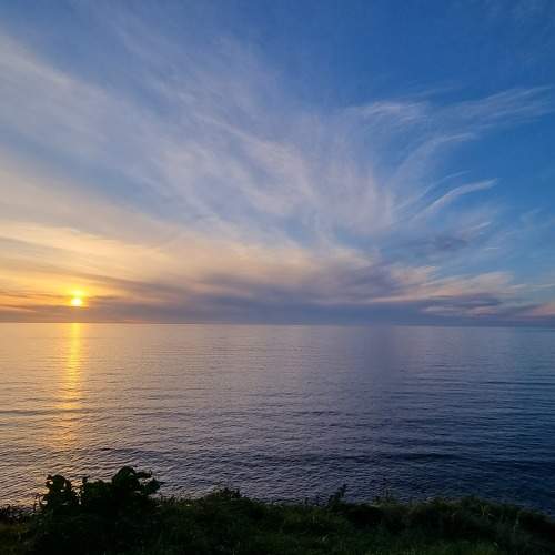 Photo #11584667