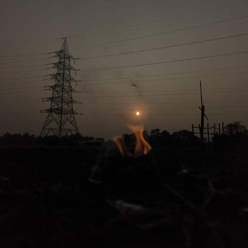Photo #11584774