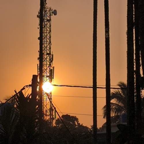 Photo #11584784