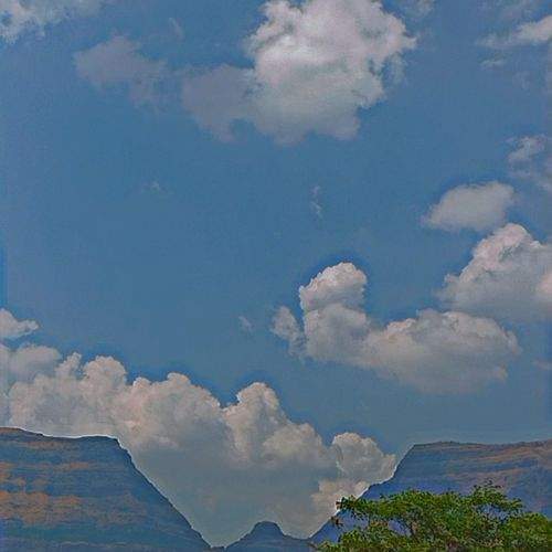 Photo #11584986