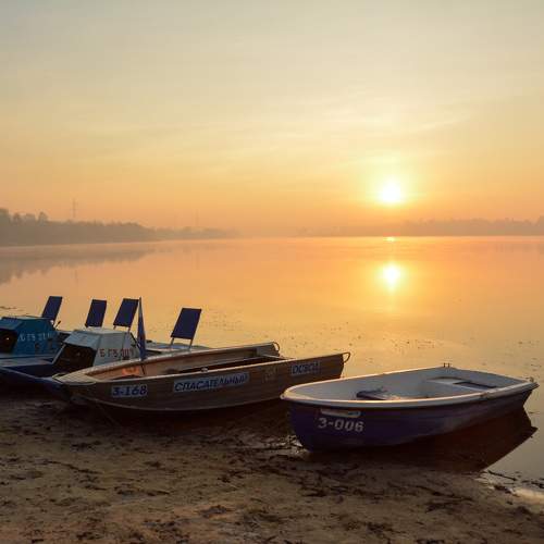 Photo #11585066