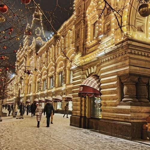 Photo #11585069