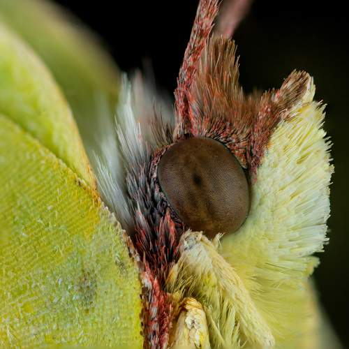 Photo #11585177
