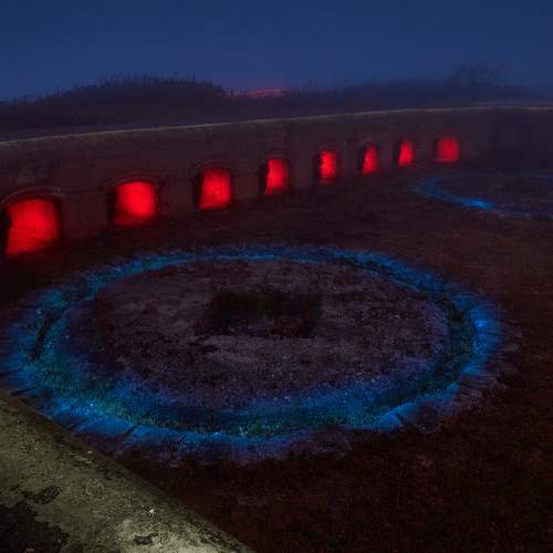 Photo #11585378