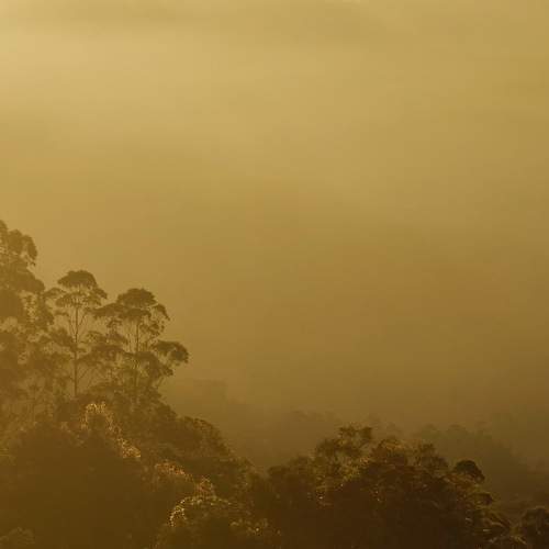 Photo #11585438
