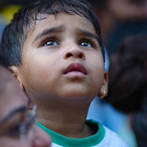 Photo #11585536