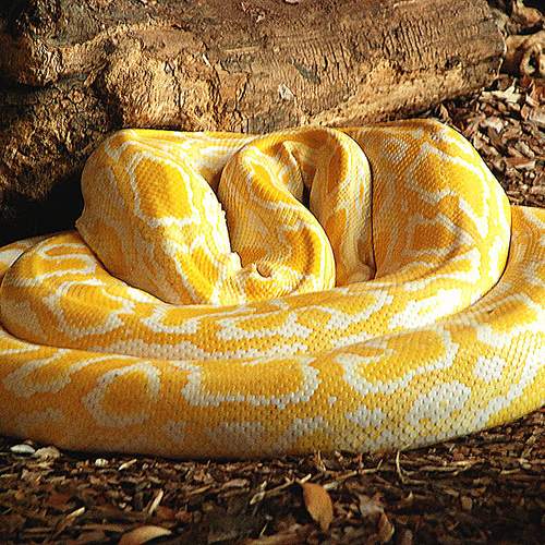 Photo #11585595