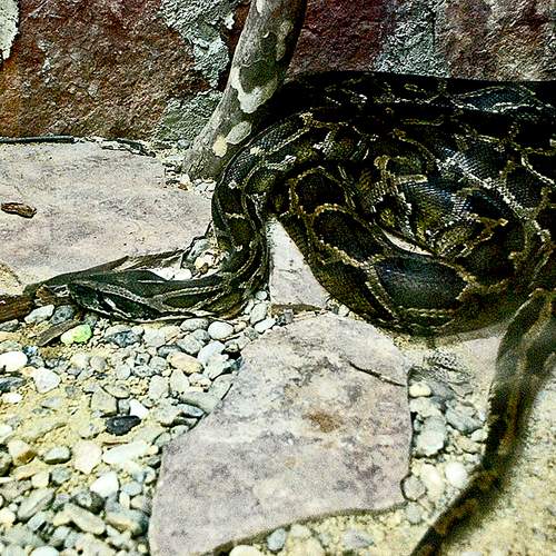 Photo #11585599