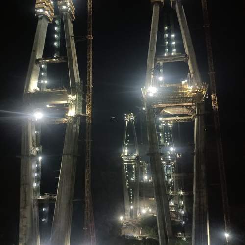 Photo #11585887