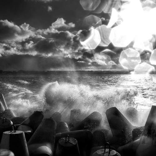 Photo #11586311