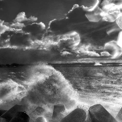 Photo #11586338