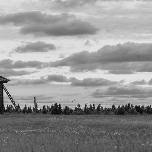 Photo #11586743