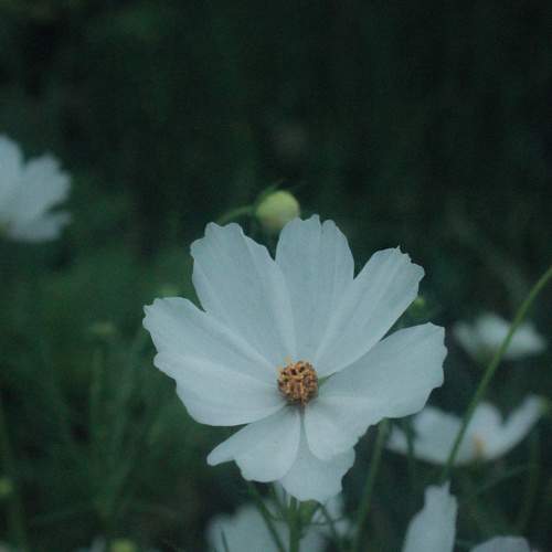 Photo #11586787
